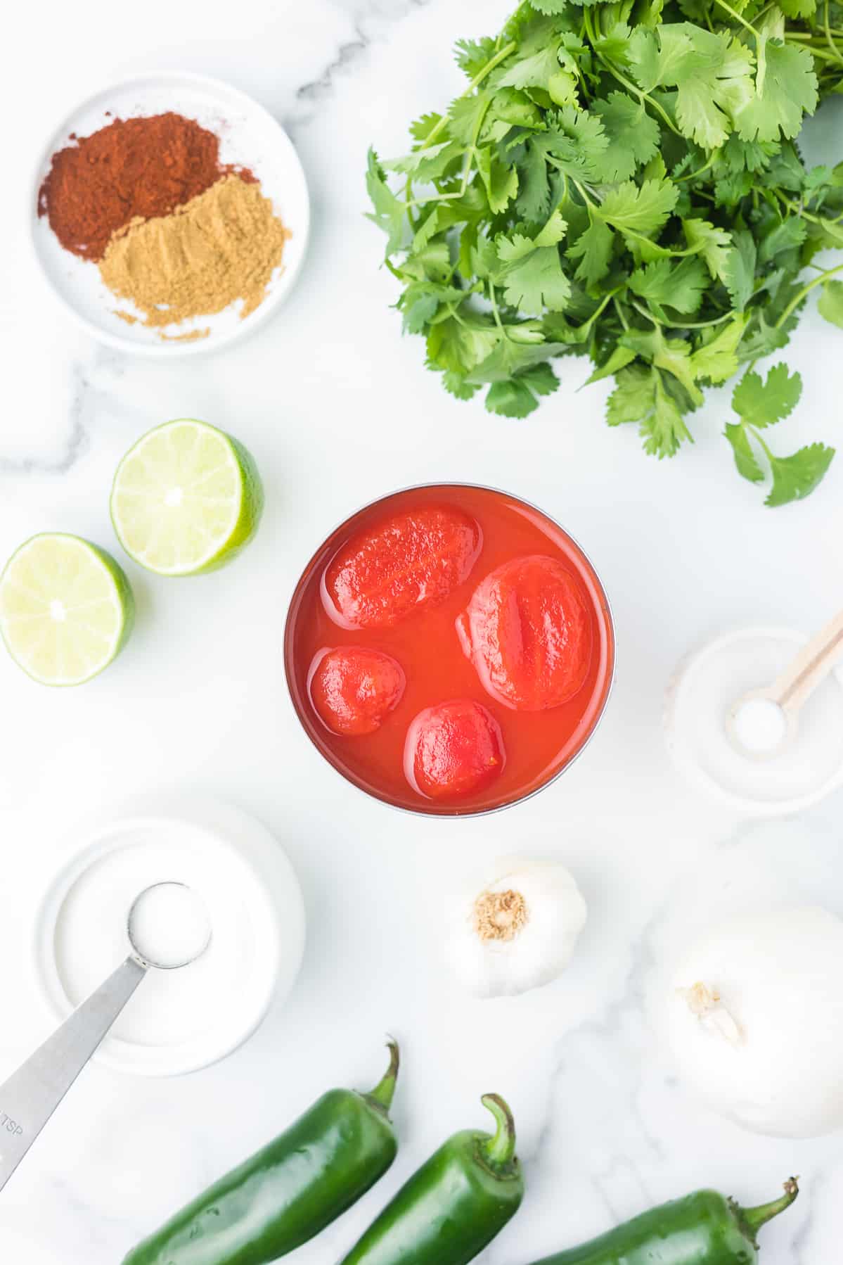 Ingredients to make tomato jalapeno salsa.