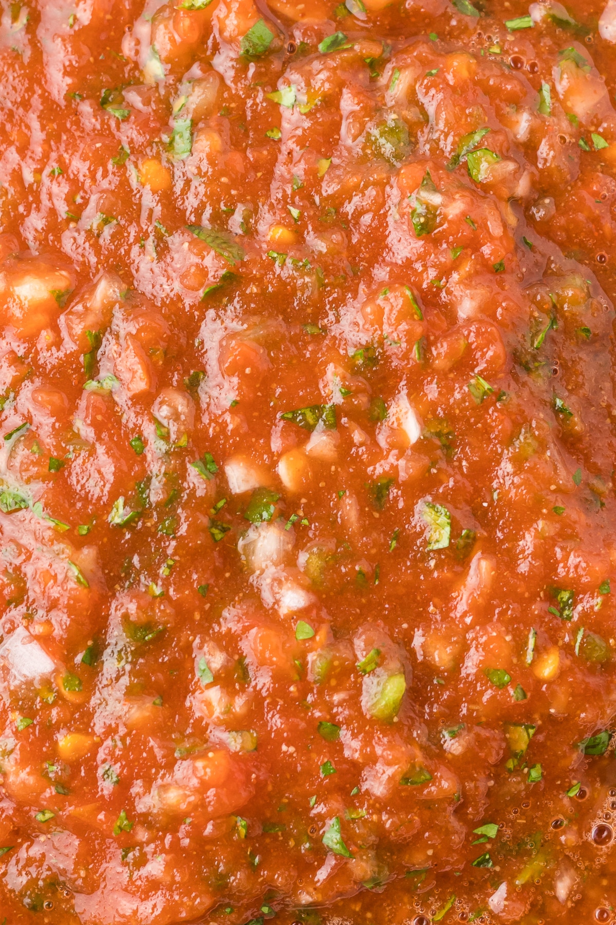 Tomato Jalapeno Salsa - Cooking Up Memories