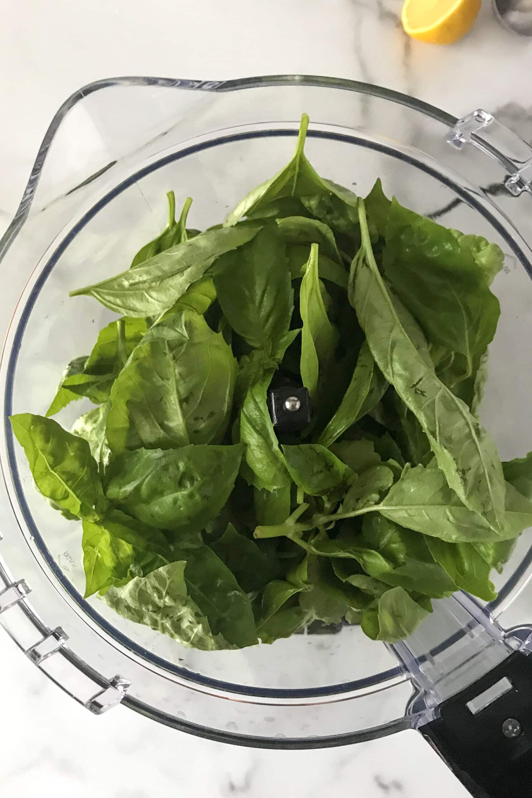 Fresh basil in food processor.
