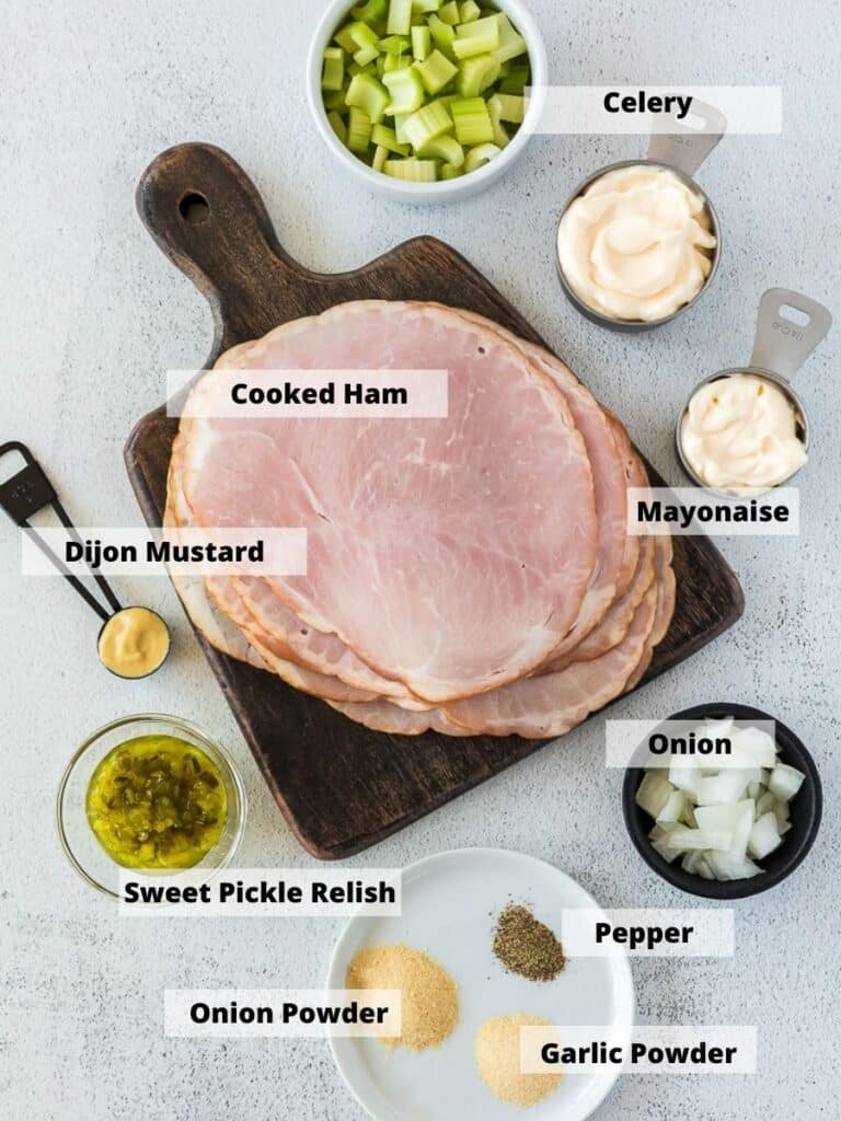 Ham, onion, sweet pickle relish, dijon mustard, spices and mayonnaise to make ham salad together on a countertop. 