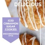Cinnamon Sugar Cookie Pin