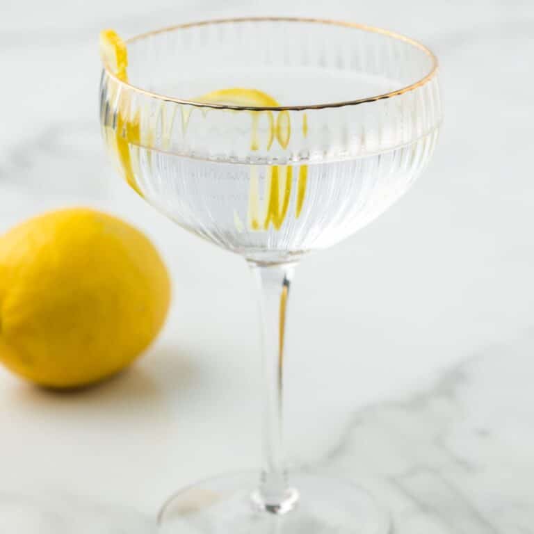 Absolut Vodka Martini Recipe