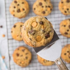 A close-up of a freshly baked cookie with chocolate and butterscotch chips on a spatula. More cookies are cooling on a wire rack in the background.