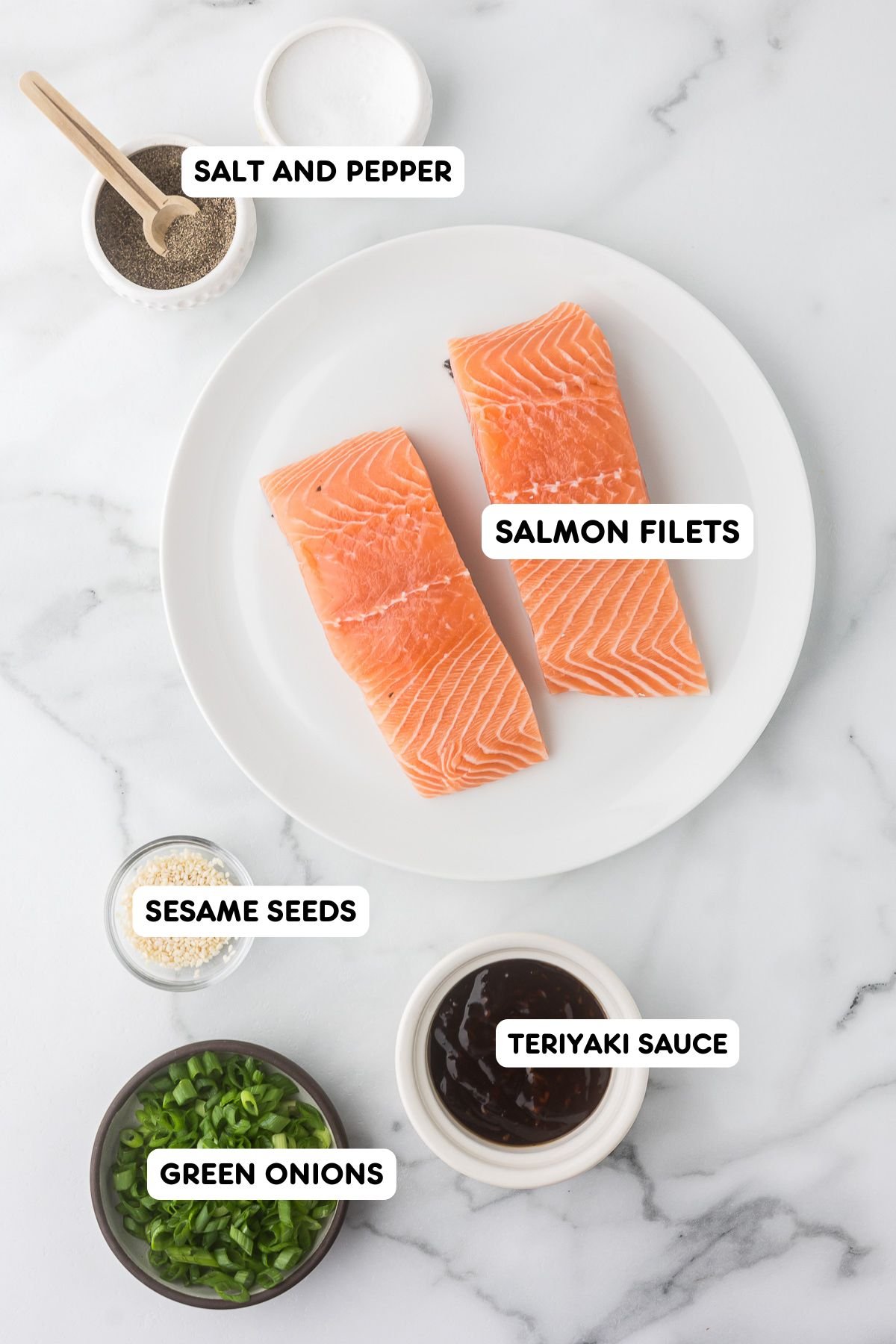 Salmon on a white plate with salt and pepper, sesame seeds, green onions and teriyaki sauce.