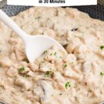 Chicken Stroganoff 30 minutes