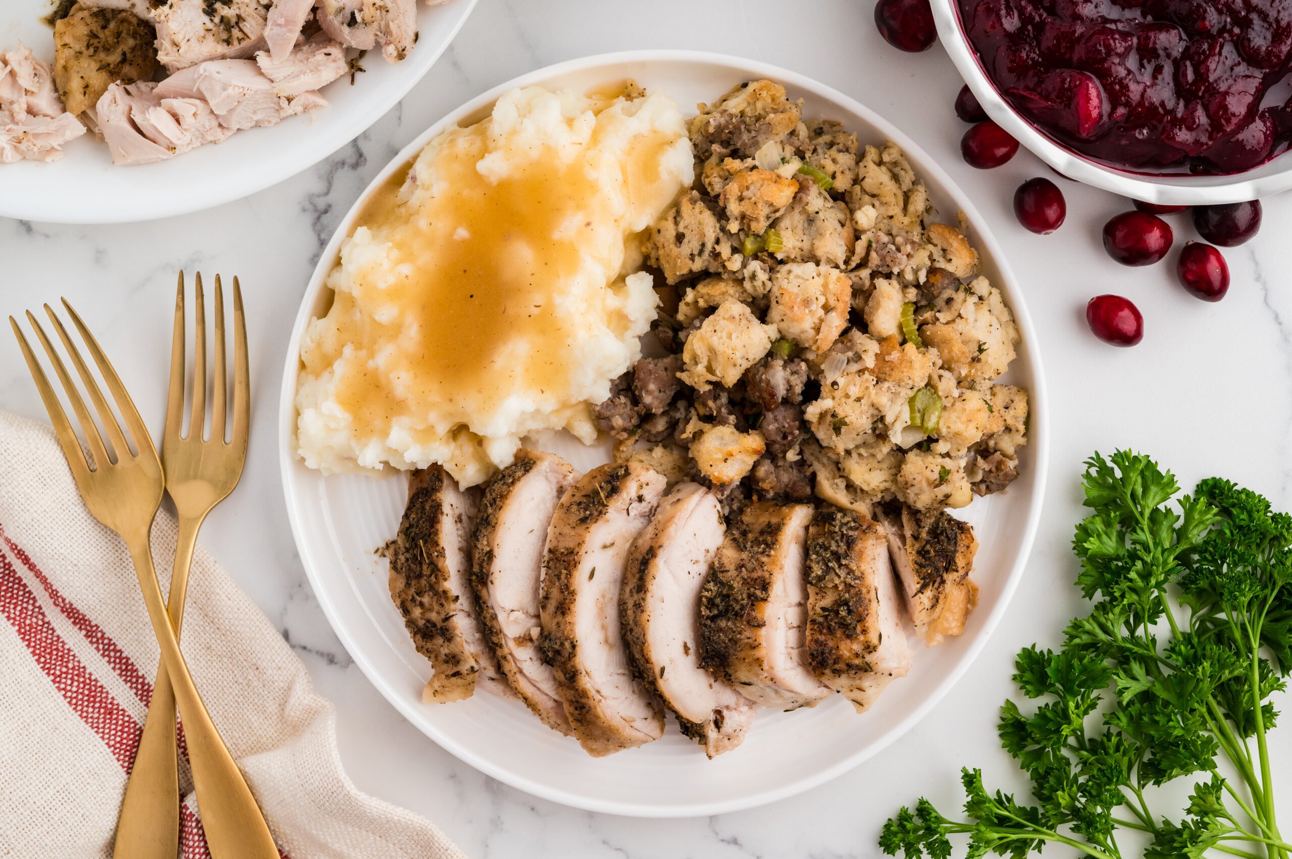 Thanksgiving plate with sliced turkey breast, mashed potatoes with gravy, sausage stuffing, and cranberry sauce.