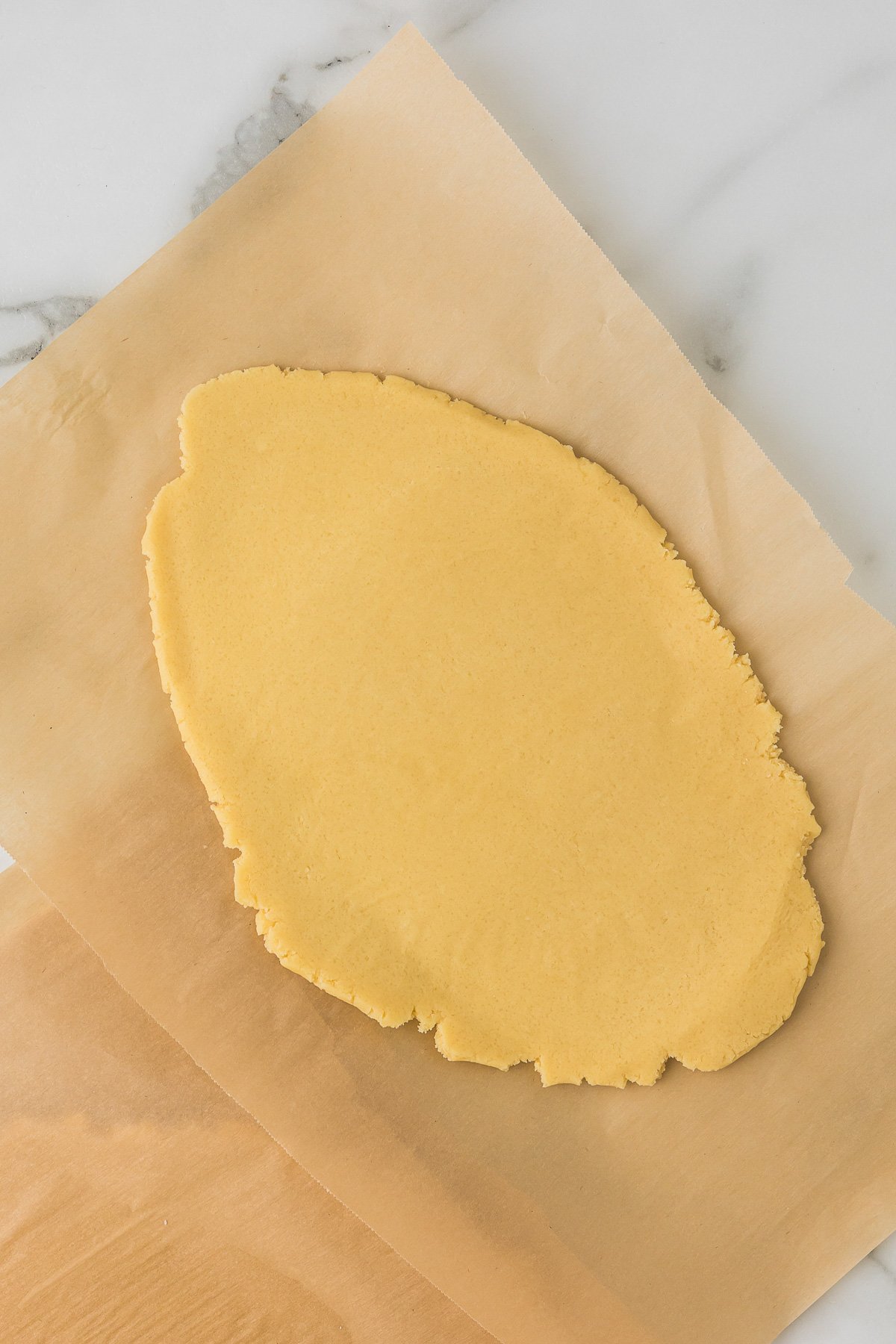 Sugar cookie dough rolled between parchment paper for cut out sugar cookies.