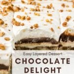 Easy Layered Chocolate Delight Pin